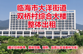 临海市大洋街道双桥村综合大楼的租赁权（整体出租）